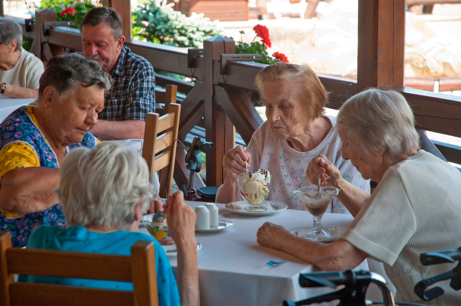 Kr�sn� jsou n�v�t�vy Roberta. O �em za�neme, tak na v�echno um� odpov�d�t, o v�em toho hodn� v�. A tak� �ten� pana �t�pa�e, kter� si v�dy jednou za t�den p�inese zaj�mavou kn�ku.